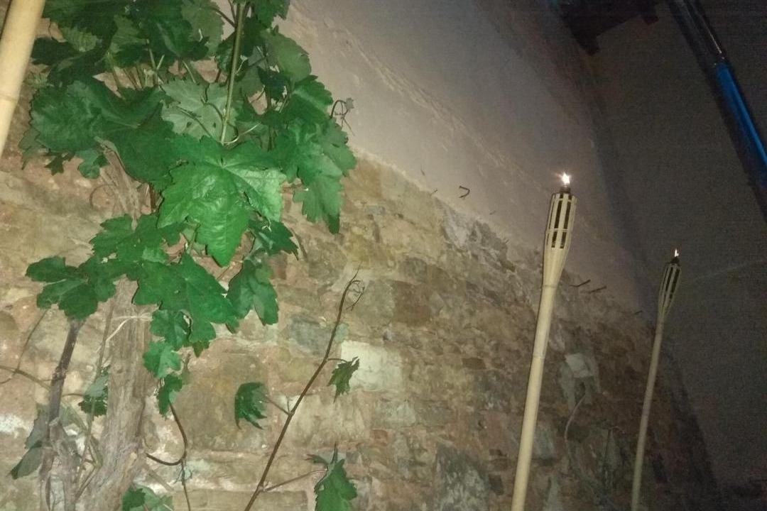 Photo of Others in Siguenza