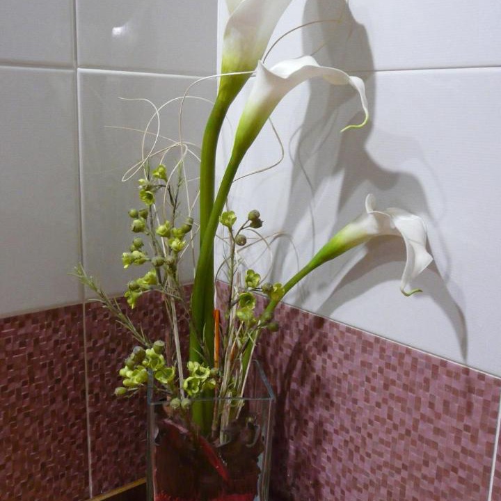 Photo of Bathroom in Valmeo