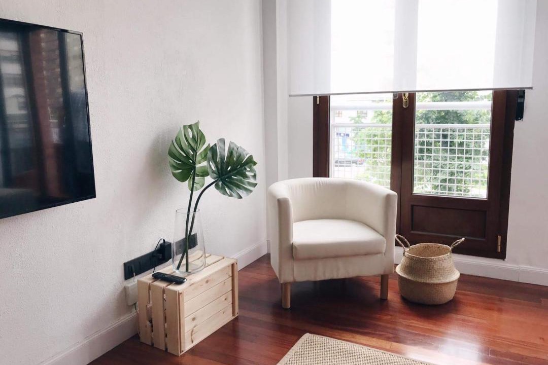 Photo of Livingroom in Basurtu