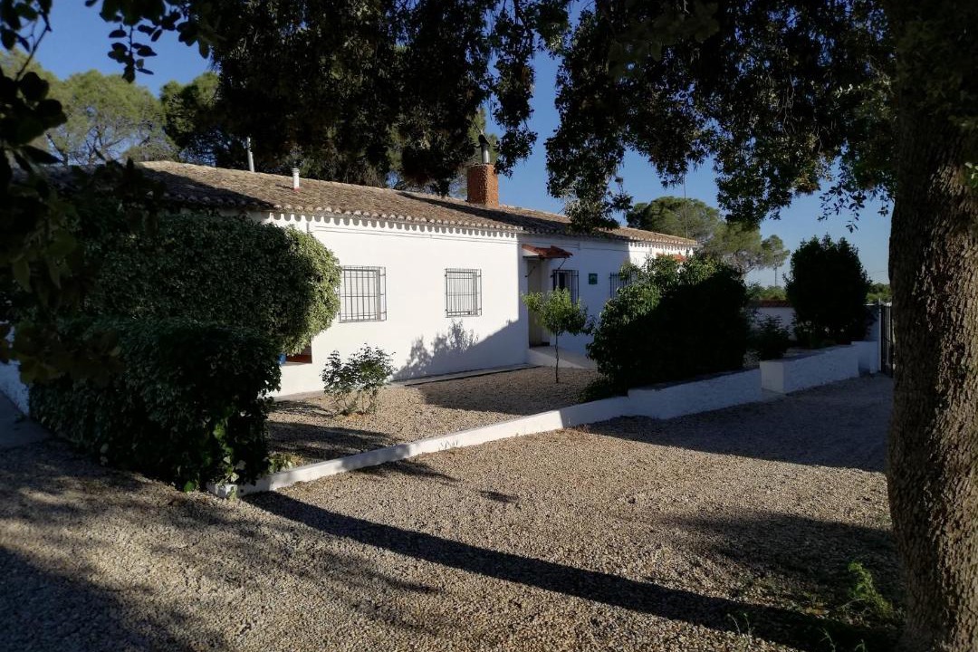 Photo of Buildings in Casas de los Pinos