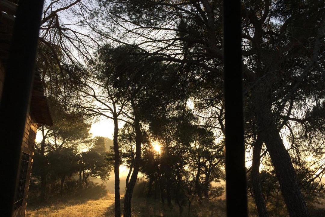 Photo of Buildings in Casas de los Pinos