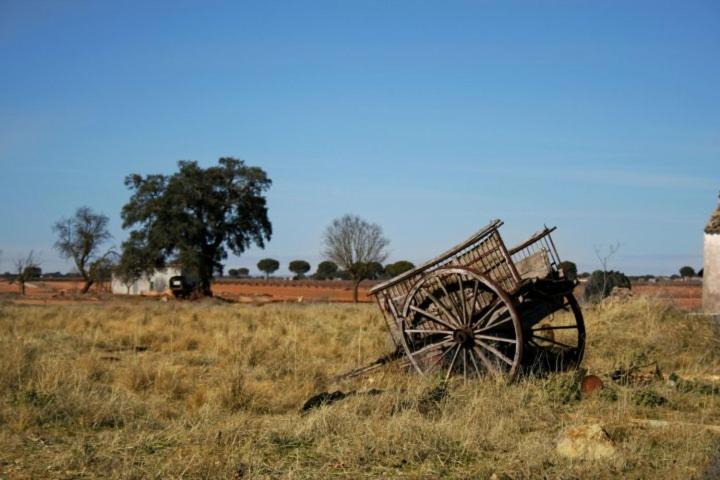 Photo of Others in Casas de los Pinos