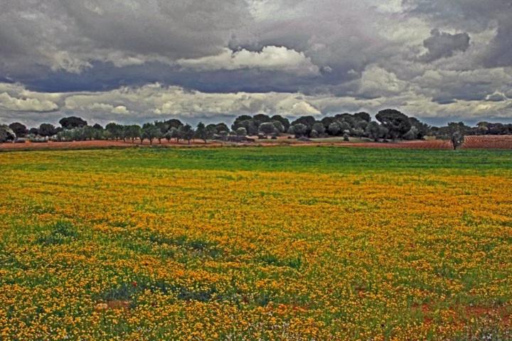Photo of Others in Casas de los Pinos