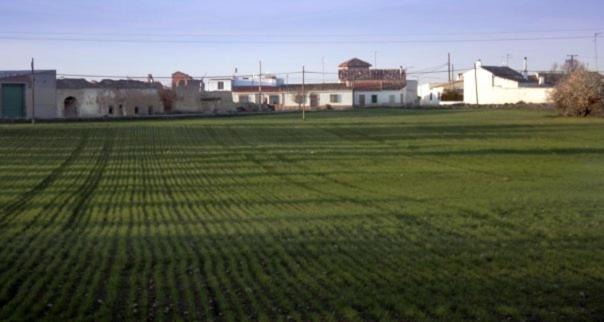 Photo of Others in Casas de los Pinos