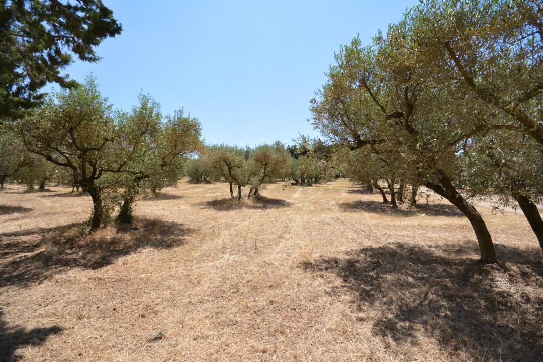 Photo of Outdoor in Paradou