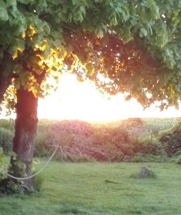 Photo of Outdoor in Danischenhagen