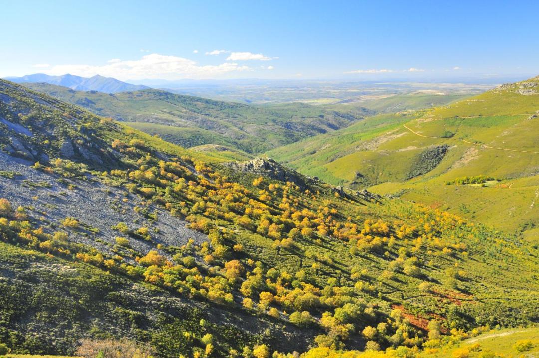 Photo of Others in Sotoserrano