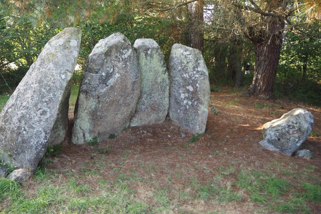 Photo of Others in Santo Estevo de Ribas de Mino