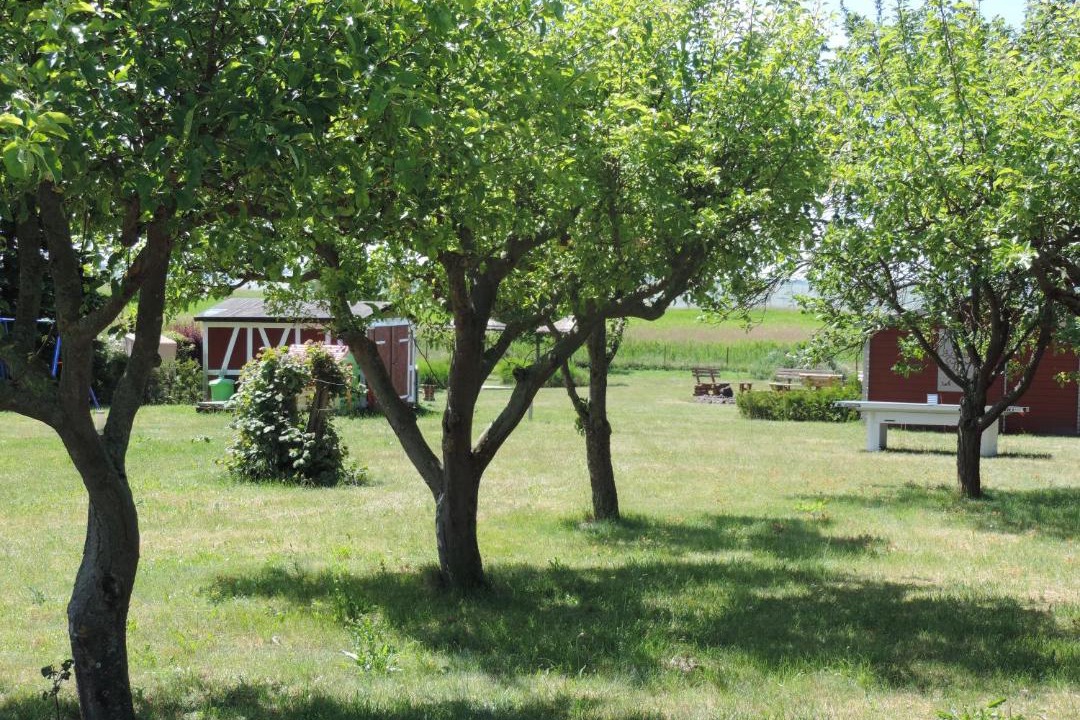 Photo of Others in Ueckeritz