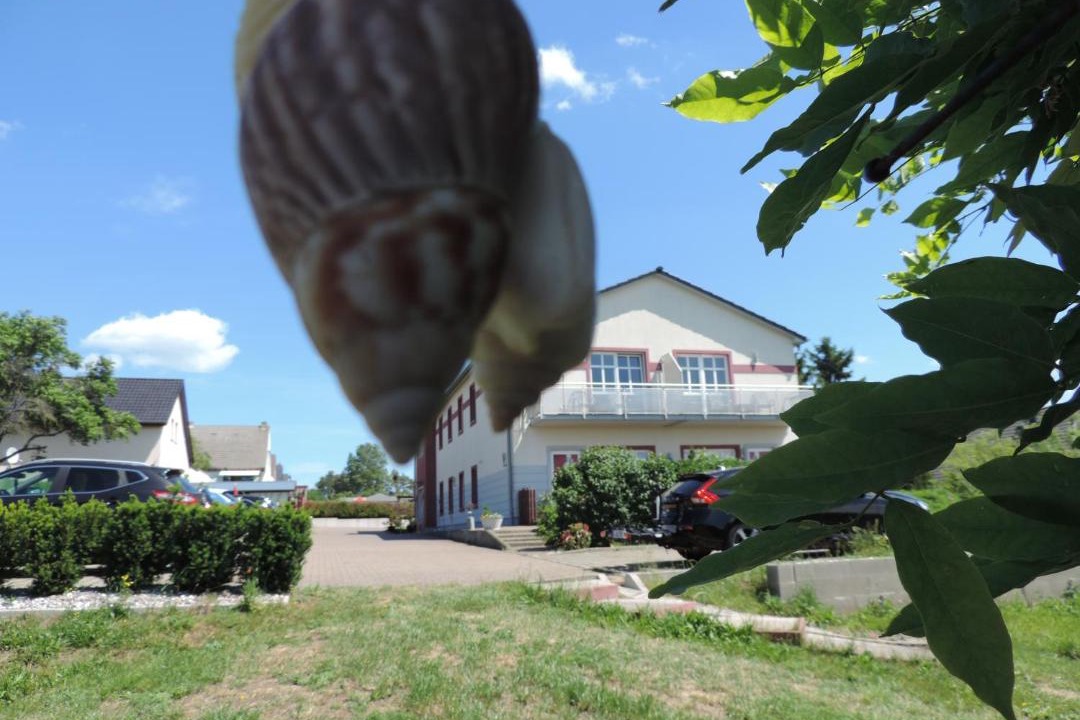 Photo of Outdoor in Ueckeritz