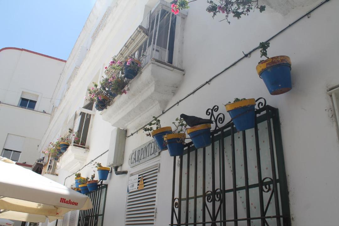 Photo of Others in Old Town