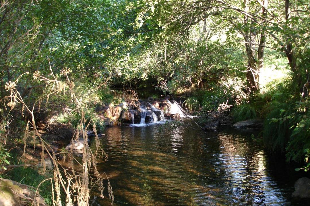 Photo of Others in La Codosera