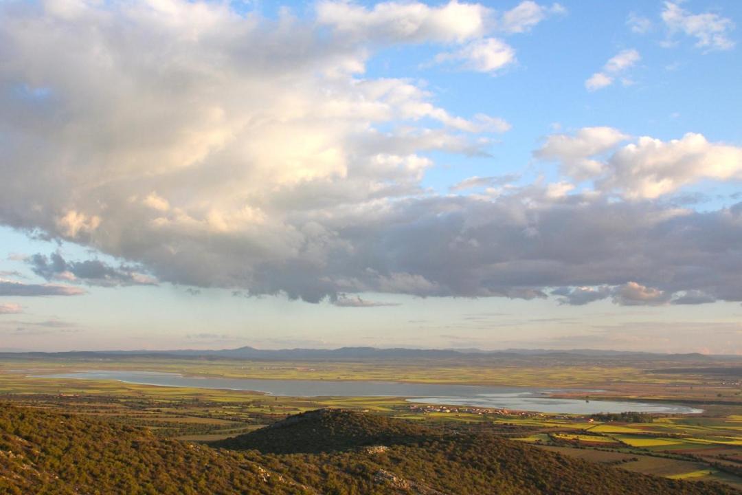 Photo of Others in Gallocanta