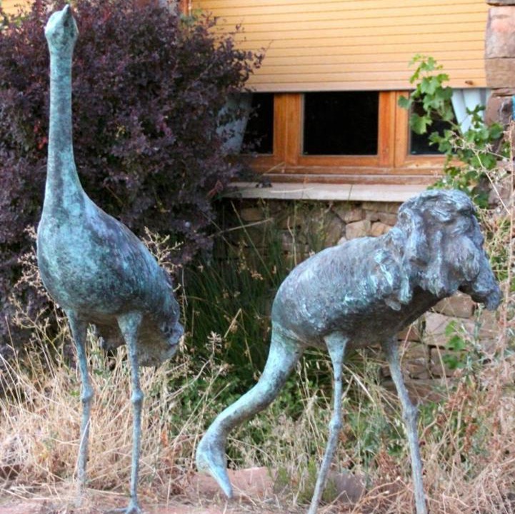 Photo of Others in Gallocanta
