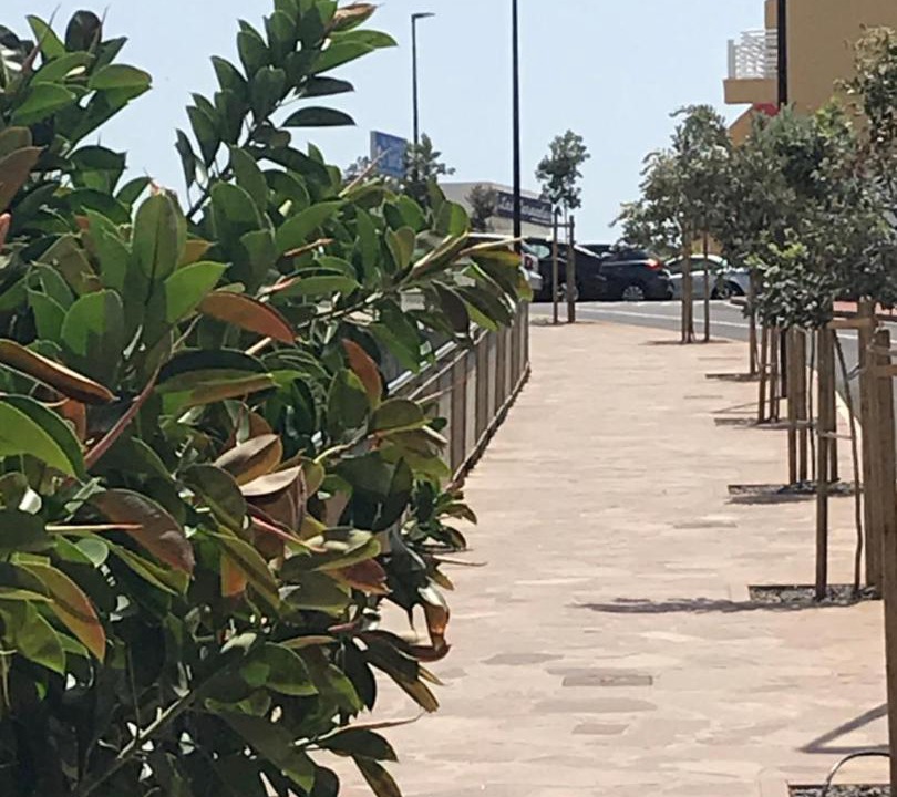 Photo of Outdoor in Callao Salvaje