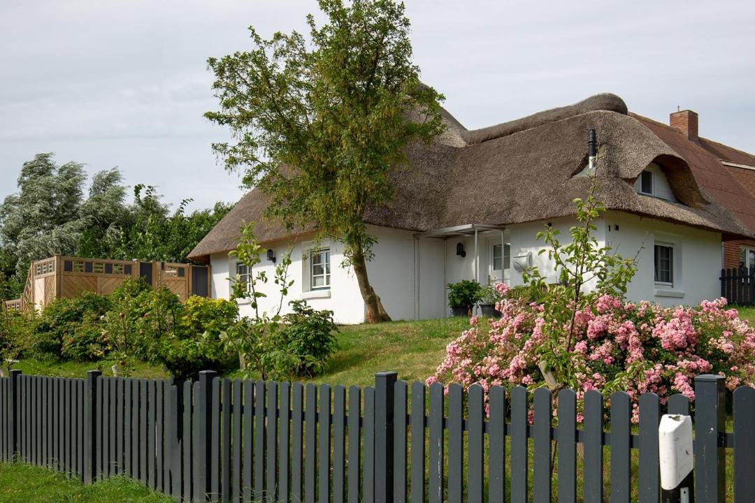 Photo of Buildings in Westertilli