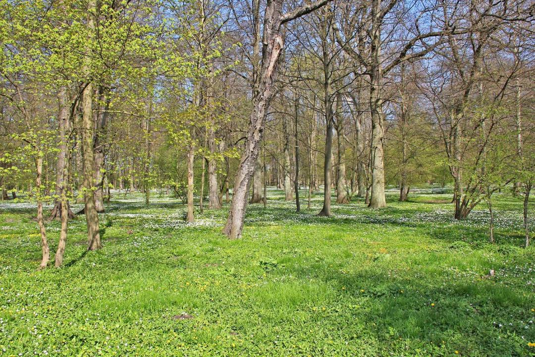Photo of Others in Breege