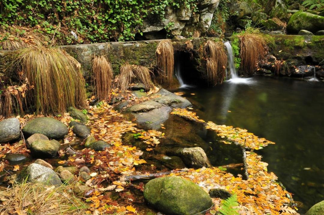 Photo of Outdoor in Hervas