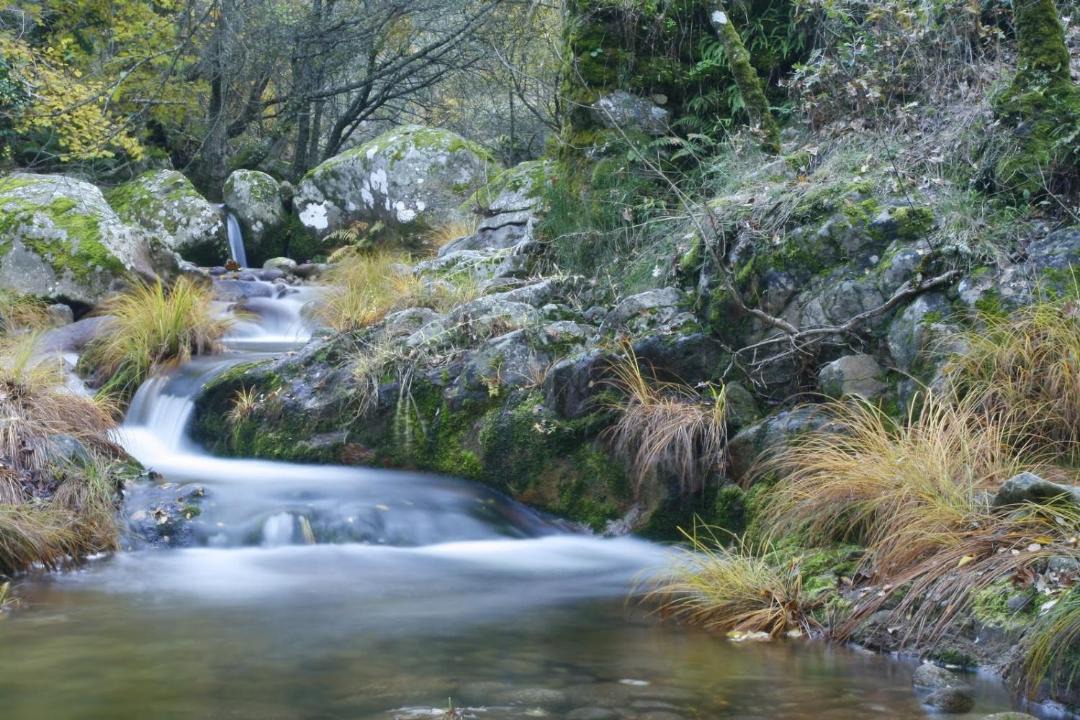 Photo of Outdoor in Hervas