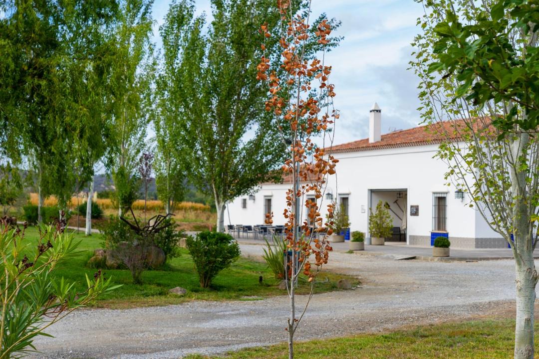 Photo of Others in Jerez de los Caballeros