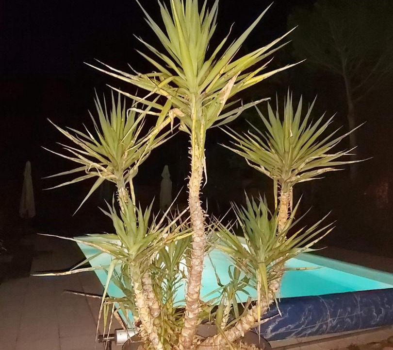 Photo of Outdoor in Rousset