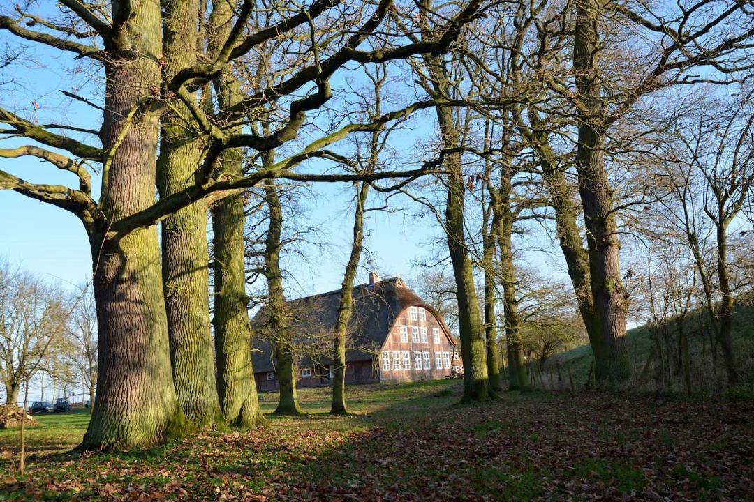 Photo of Others in Modlich