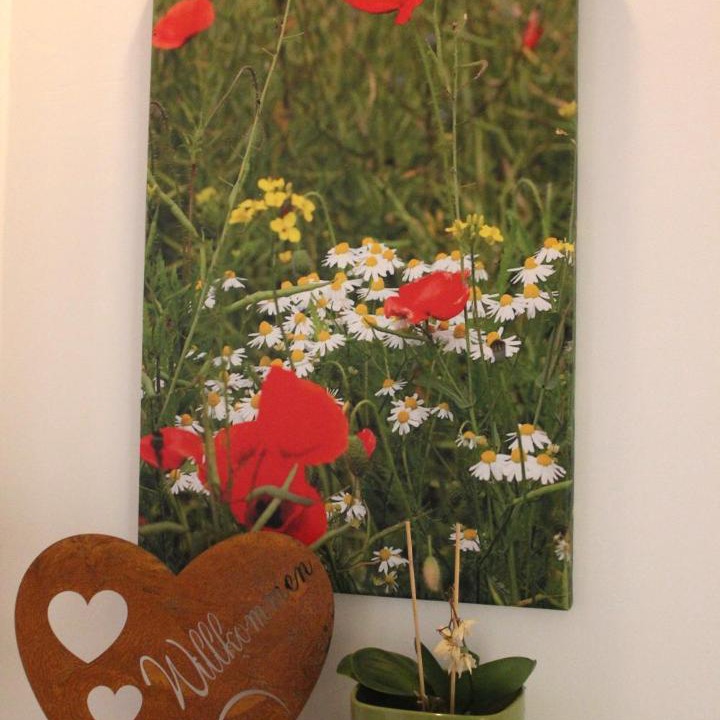 Photo of Others in Havelberg