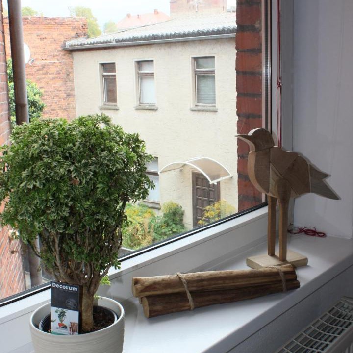 Photo of Others in Havelberg
