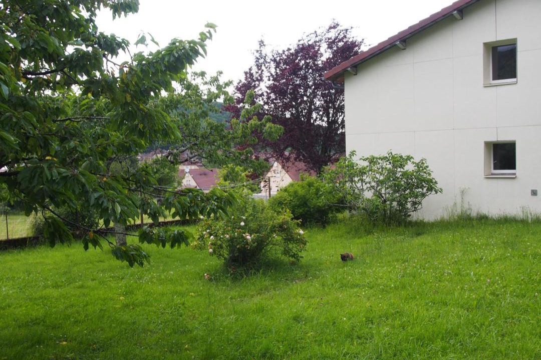 Photo of Buildings in Saint-Lothain