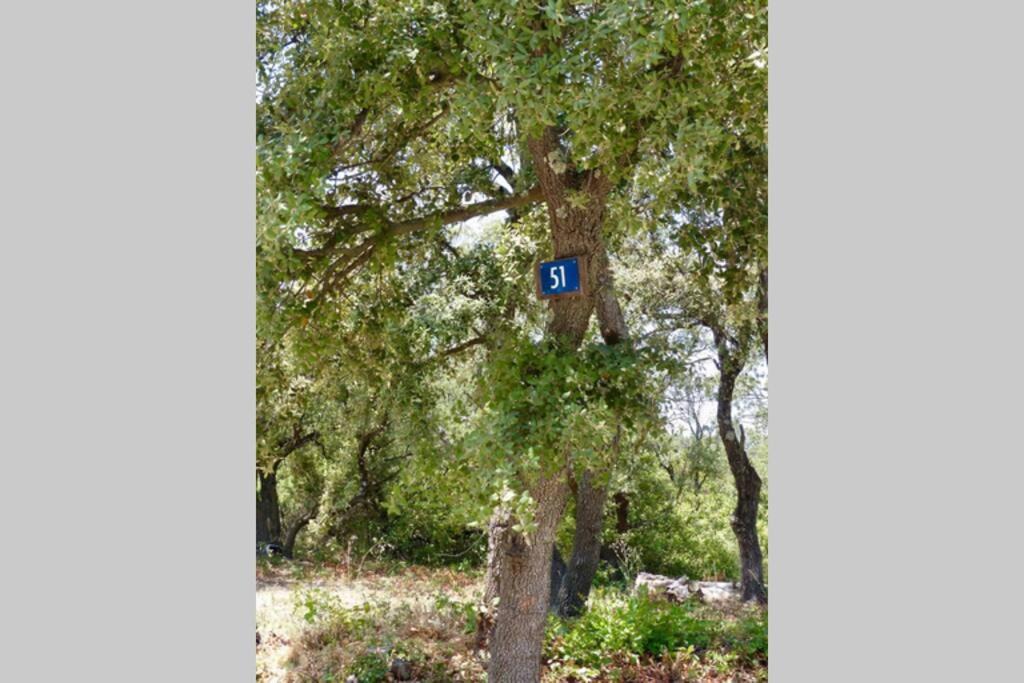 Photo of Others in Les Hauts de Villeneuve