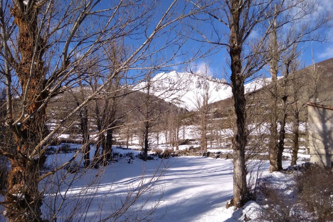 Photo of Outdoor in Cardano de Abajo