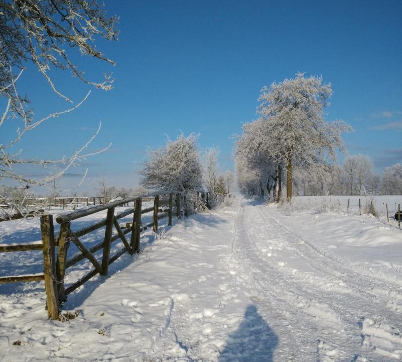 Photo of Outdoor in Korbach