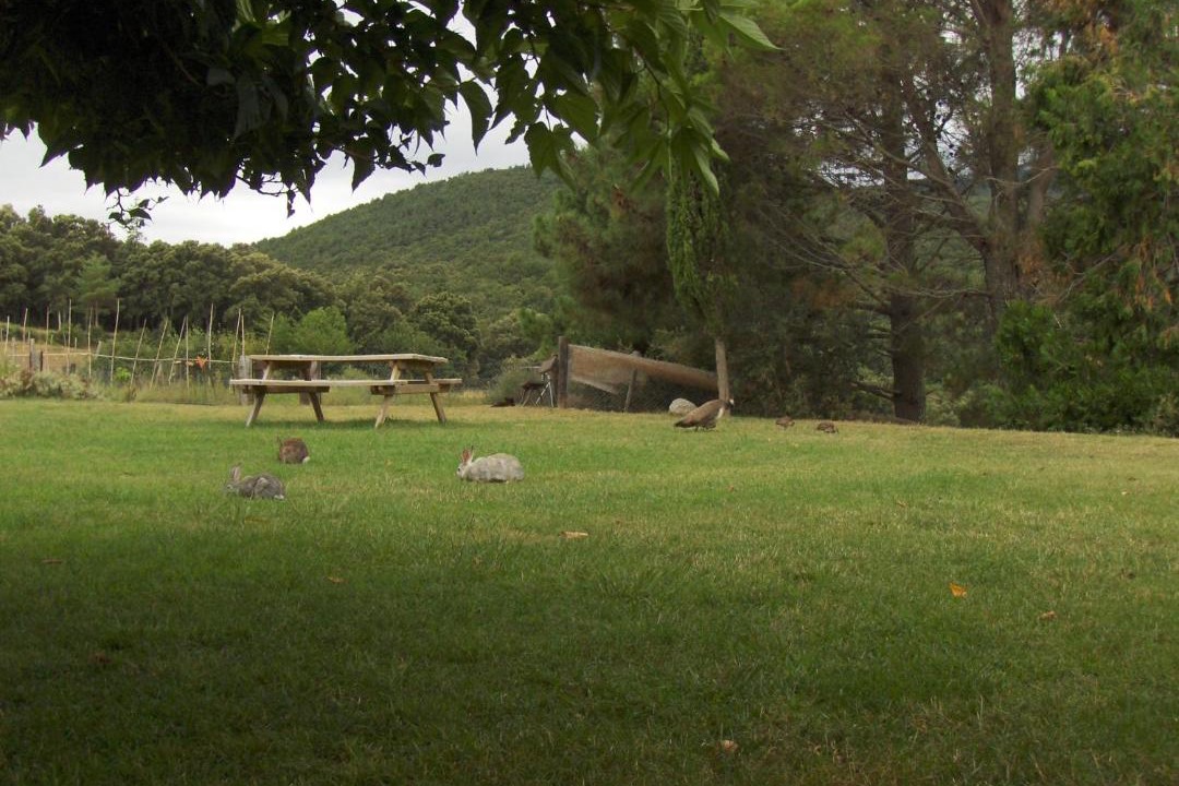 Photo of Others in Macanet de Cabrenys
