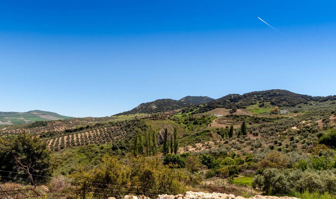 Photo of Others in Montecorto