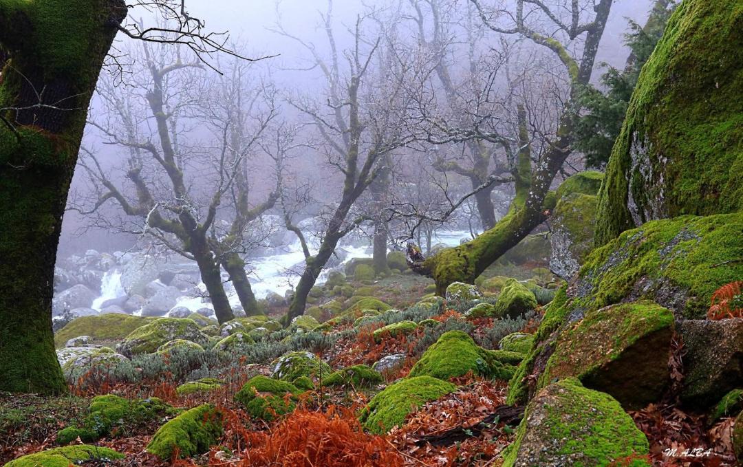 Photo of Others in Navarredonda de Gredos