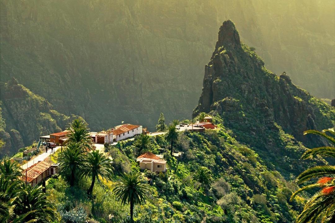 Photo of Outdoor in Santa Cruz de Tenerife