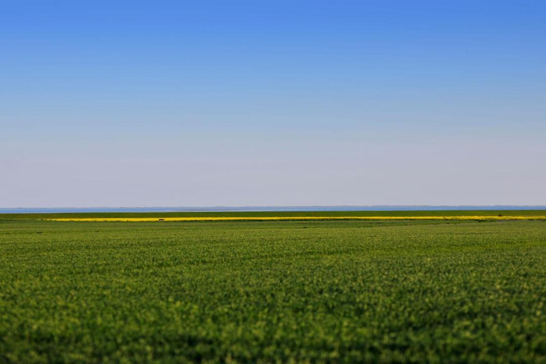 Photo of Others in Morsum
