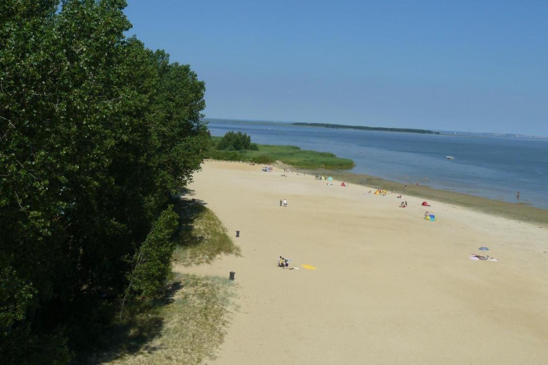Photo of Outdoor in Freest