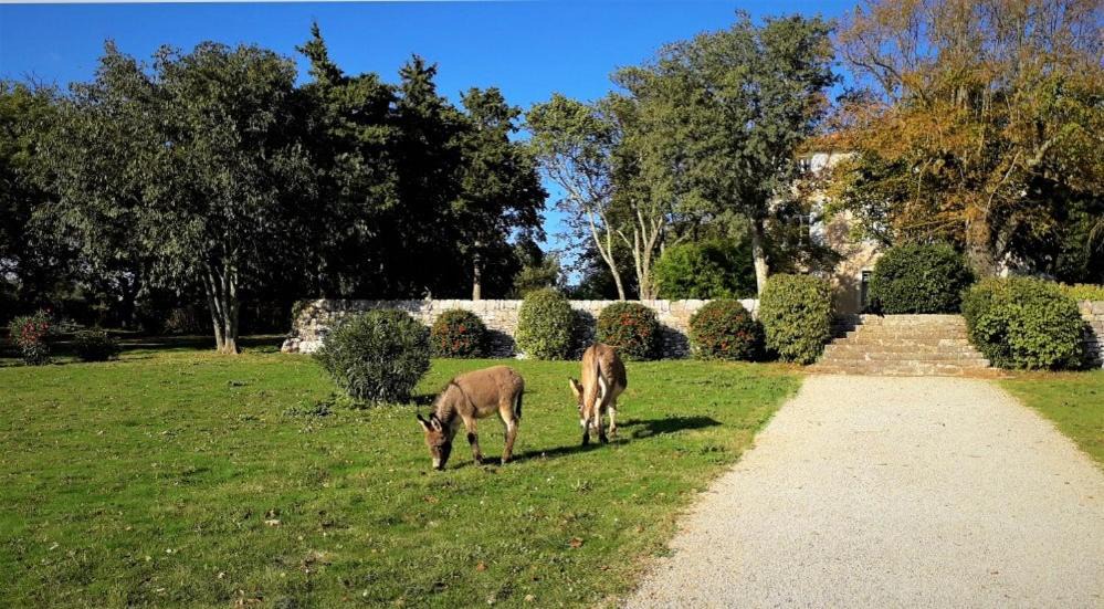 Photo of Others in Saint-Maximin-la-Sainte-Baume