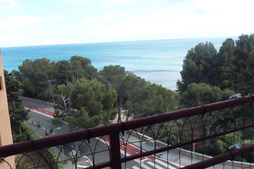 Photo of Others in Miami Platja