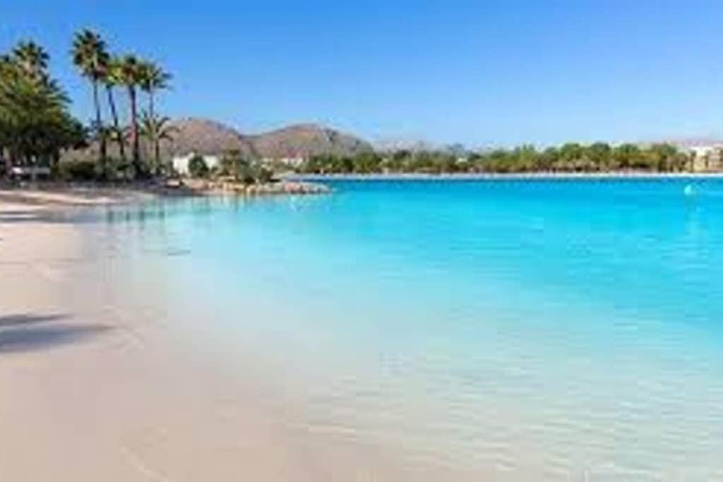 Photo of Others in Alcudia