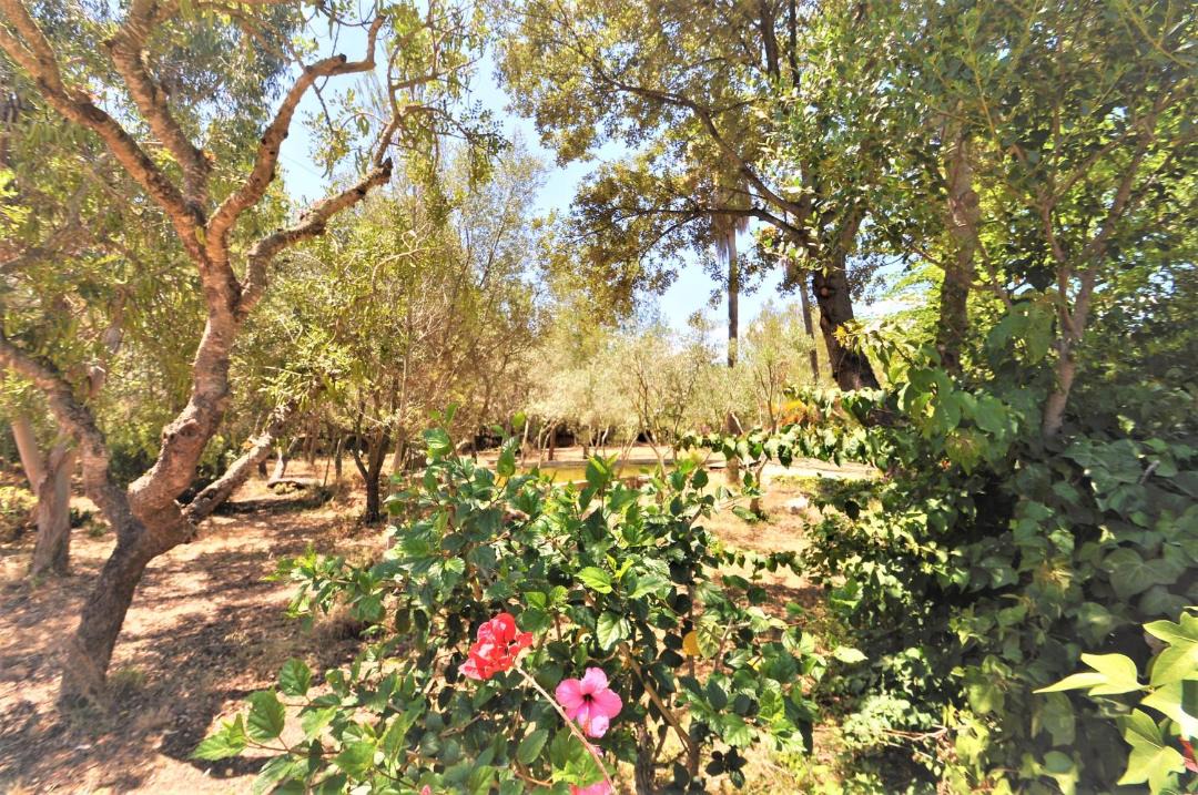 Photo of Outdoor in La Esglayeta