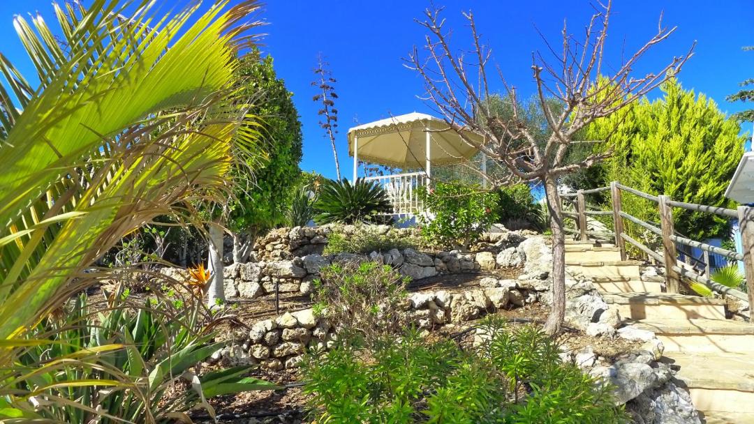 Photo of Others in Frigiliana