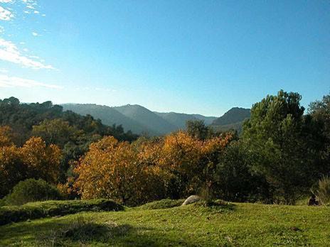 Photo of Outdoor in Fregenite