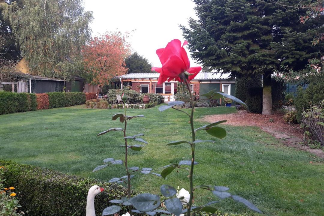 Photo of Outdoor in Sandkrug