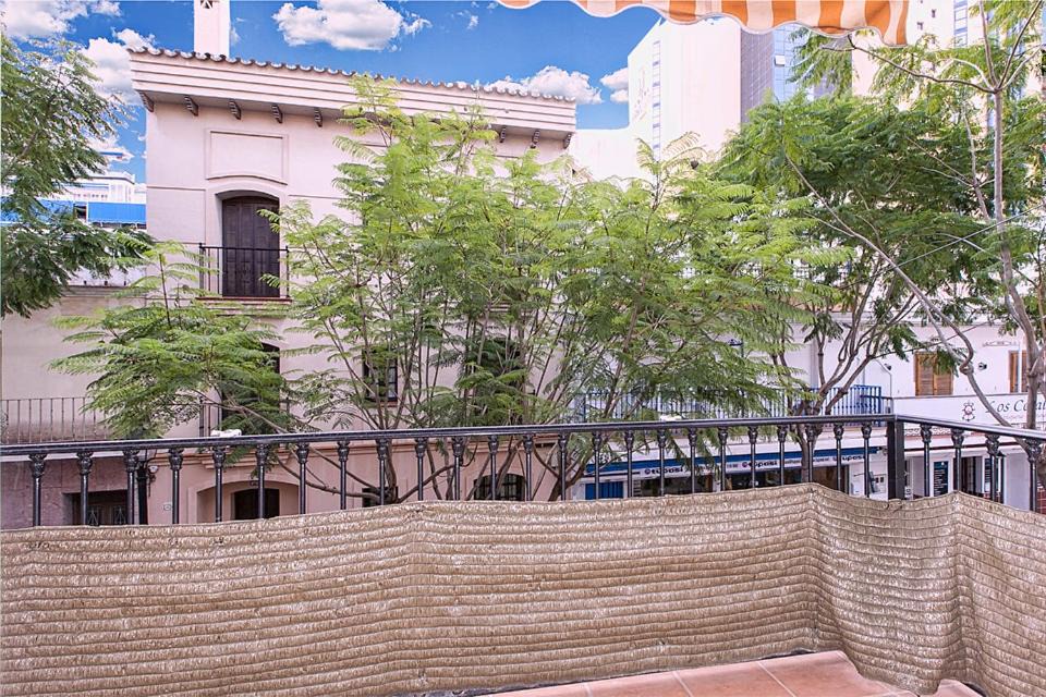 Photo of Others in Fuengirola