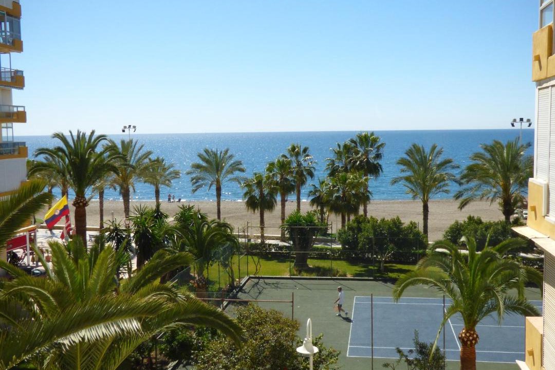 Photo of Others in Algarrobo