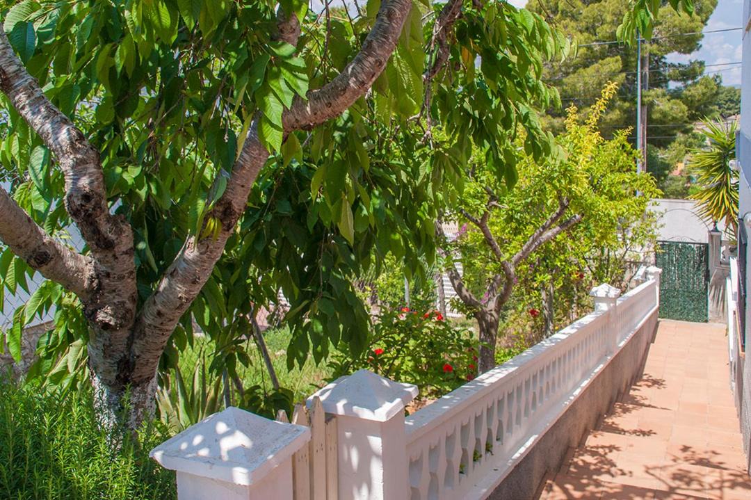 Photo of Patio Balcony in Calafell