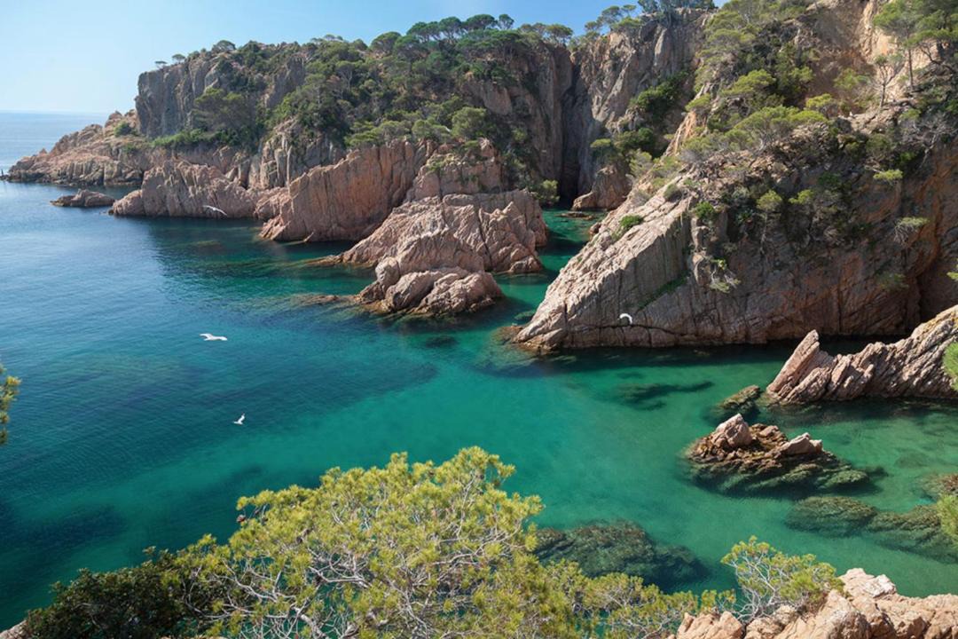 Photo of Others in Sant Feliu de Guixols