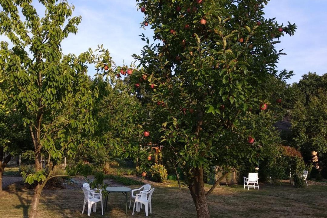Photo of Outdoor in Luttum